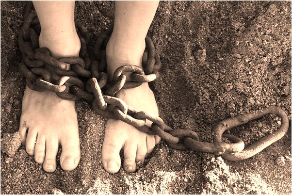 夢到了蛆和螞蟻有什麼含義_周公解夢官網