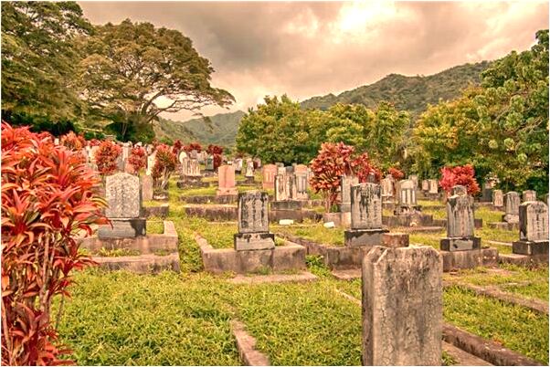 夢見葡萄荔枝桂圓預示著什麼_周公解夢官網