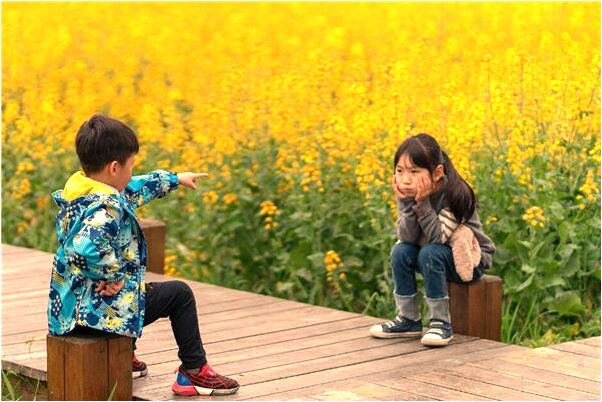 夢到了野外採摘是什麼預兆_周公解夢官網