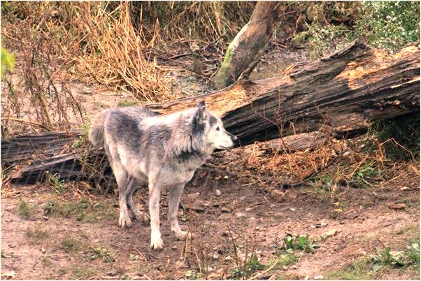 夢見情人帶老婆來看我裸睡代表著什麼？_周公解夢官網