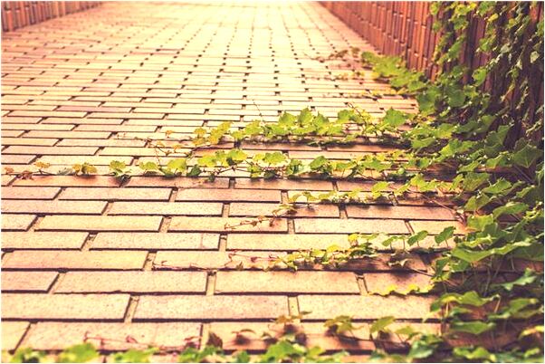 夢見打人見血怎么樣_周公解夢官網