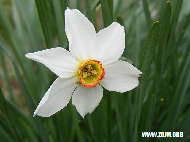 夢見牙都掉了_周公解夢夢到牙都掉了是什麼意思_做夢夢見牙都掉了好不好_周公解夢官網