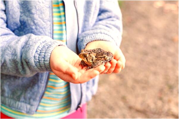 夢到和弟弟去韓國是什麼意思_周公解夢官網