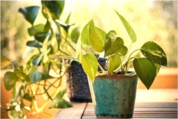 夢到了暗戀的女孩是什麼啟示_周公解夢官網