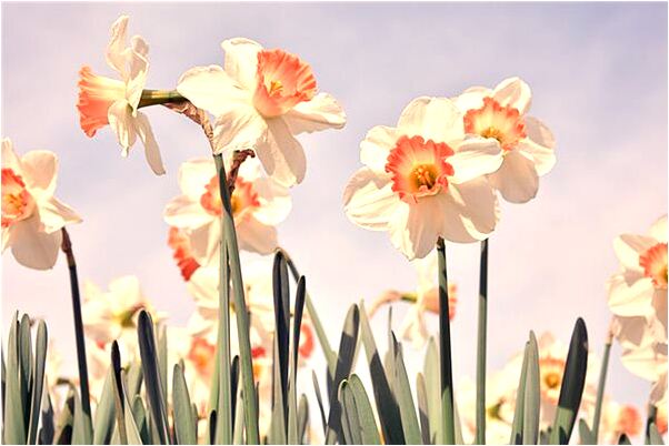 夢到了給別人送東西是咋回事_周公解夢官網