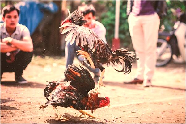 夢見宴請很多陌生人吃飯意味什麼_周公解夢官網