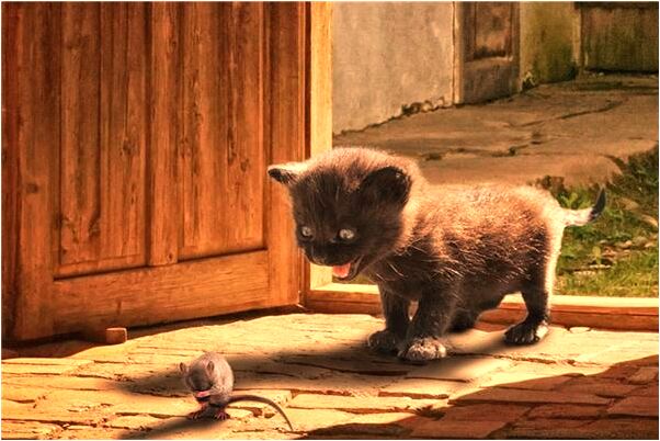 夢到了燒香禱告有什麼預示嗎_周公解夢官網