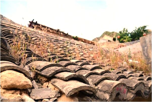 夢到兩條特大的魚預示什麼_周公解夢官網