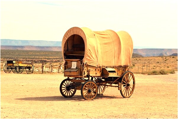 夢見用毒針殺死蟒蛇並解剖代表什麼_周公解夢官網