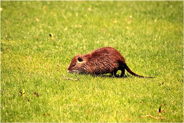 夢到潑別人一腳水是什麼預兆_周公解夢官網