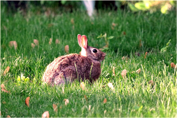 夢到了自己恐高有什麼預示嗎_周公解夢官網