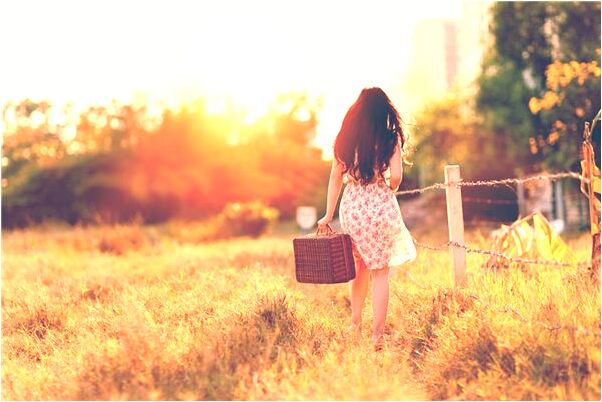 夢到了石刻龍鶴是什麼預兆_周公解夢官網