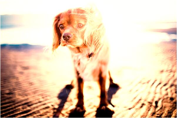 夢見夢一慈祥老太進屋佛堂是凶兆還是吉兆_周公解夢官網