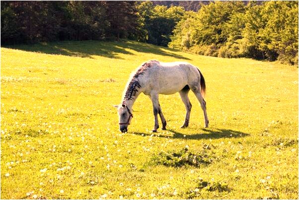 夢到抱一個嬰兒有什麼徵兆_周公解夢官網