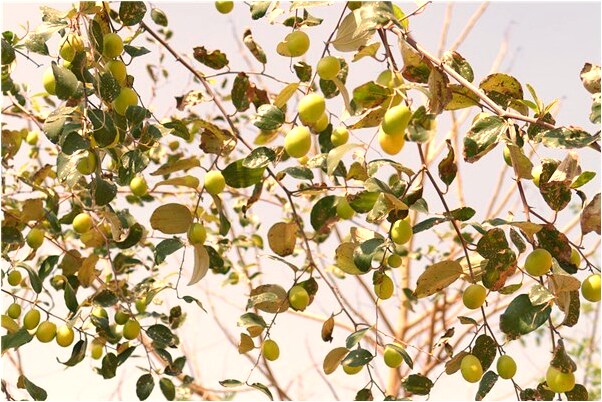 夢到抱著寶寶從房頂掉下來是吉兆嗎?_周公解夢官網