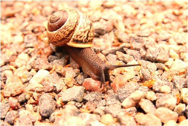 夢到了喜歡的人跟我做愛有什麼意思嗎_周公解夢官網