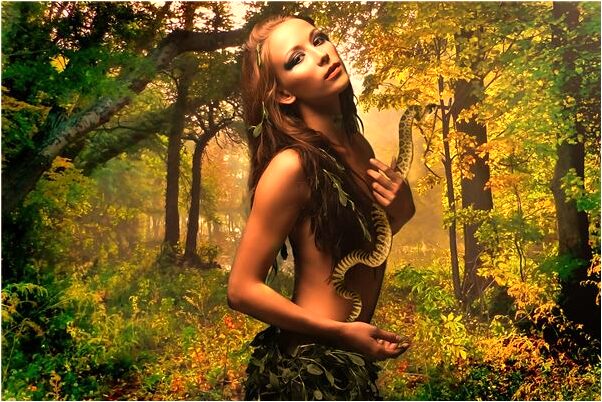 夢見和老闆娘吵架是什麼徵兆_周公解夢官網