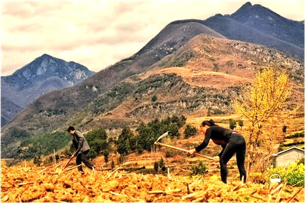 夢到爸爸去世的爸爸哭怎么說_周公解夢官網