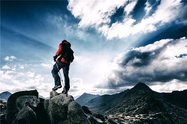 屬牛的天蠍座事業如何_十二生肖