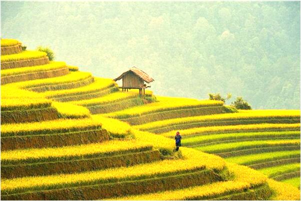 夢見家人穿白色衣服啥意思_周公解夢官網