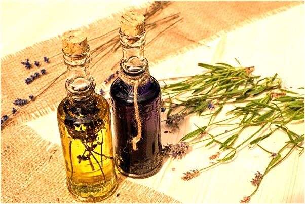 夢到自己長年輕了的預示著什麼_周公解夢官網