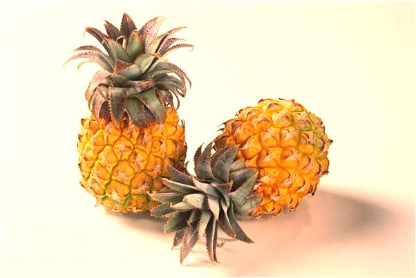 夢到了和老公只穿內褲聊天是好事還是壞事_周公解夢官網