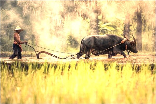 夢到了已死但又復活的人會是什麼預兆_周公解夢官網