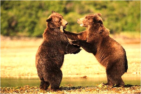 夢見有人故意破壞屋子是啥預兆_周公解夢官網