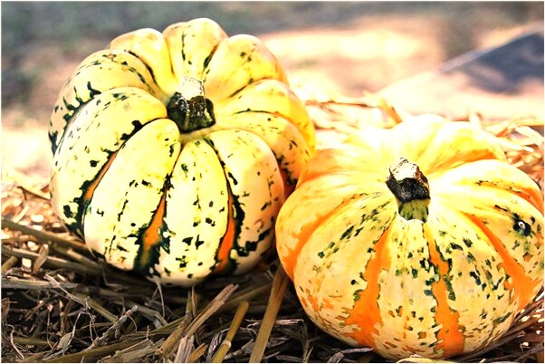 夢到了同學稱讚我有什麼預兆_周公解夢官網