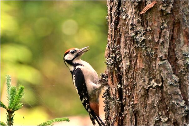 夢見孩子被搶什麼寓意_周公解夢官網