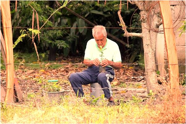 夢到了自己心愛的人去世會怎么樣_周公解夢官網