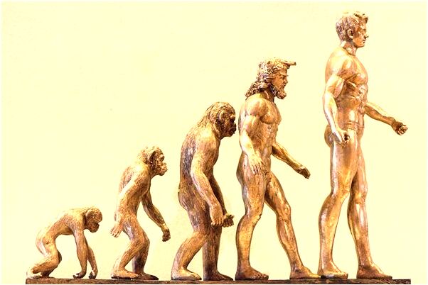 夢到了連環殺人案怎么樣_周公解夢官網