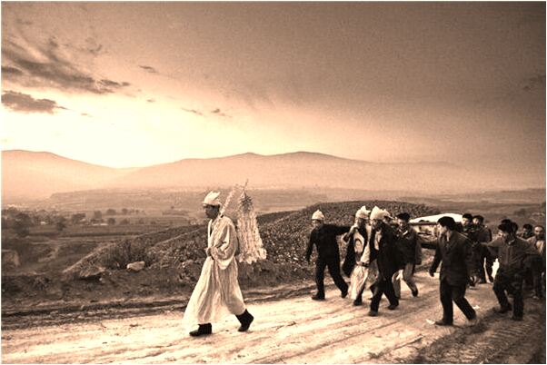 夢到喜歡的女孩子有何寓意_周公解夢官網