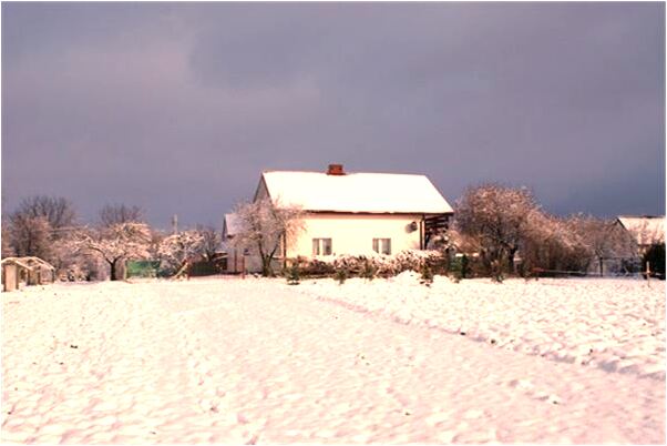 夢見別人搶走我的飯是咋回事_周公解夢官網