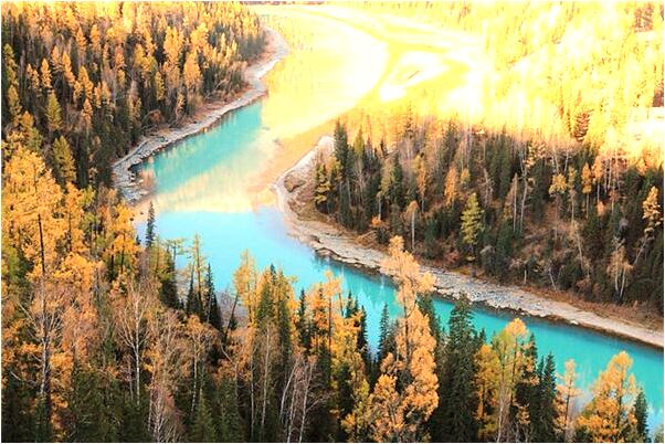 夢到死蛇又活預兆了什麼嗎_周公解夢官網