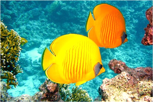 夢到對別人發脾氣是什麼徵兆_周公解夢官網