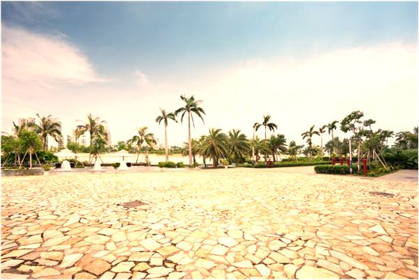 夢到牙齒被拔是什麼預兆_周公解夢官網