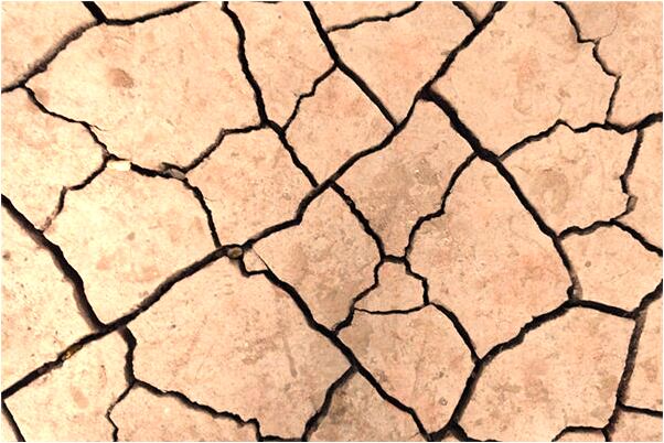 夢見手機掉屎上預示了什麼_周公解夢官網