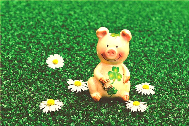 夢見鷹變人有何寓意_周公解夢官網