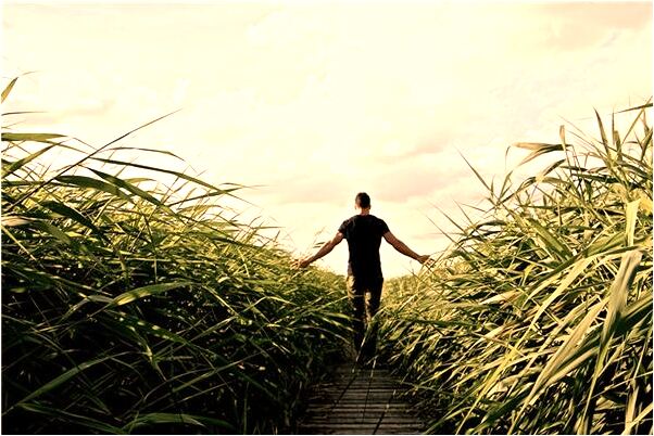 夢見自己放出好多雞會是什麼預兆_周公解夢官網