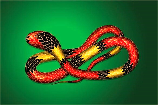 夢見開著新汽車爬上了很高的坡是啥意思_周公解夢官網