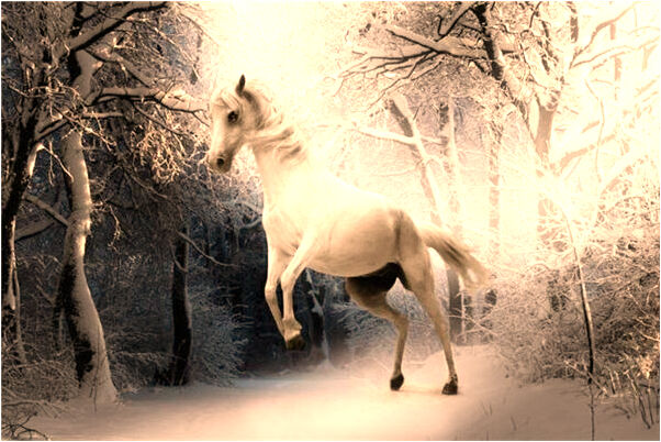 夢到丹尼斯吳代表著什麼_周公解夢官網