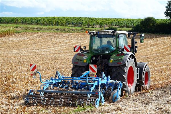 夢到耕耘有什麼寓意嗎_周公解夢