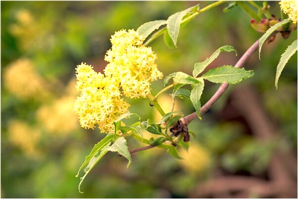 夢見爬不上去是什麼預兆？_周公解夢官網