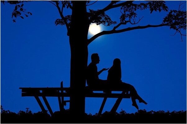 夢到了很多飛蛾是什麼意思？_周公解夢官網