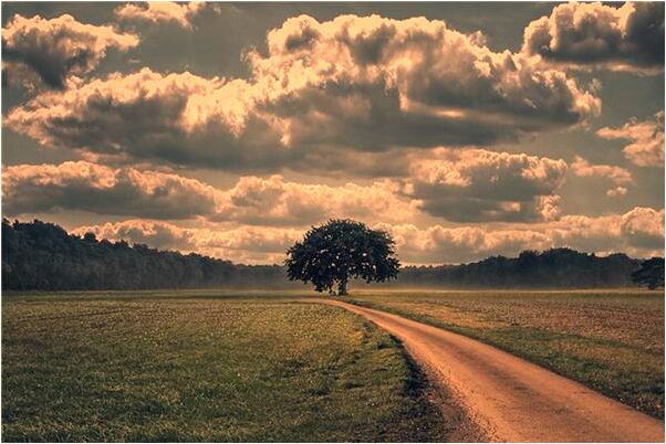 夢見老虎進房間有什麼寓意嗎_周公解夢官網