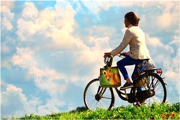 夢見白貓入懷預示著什麼_周公解夢官網