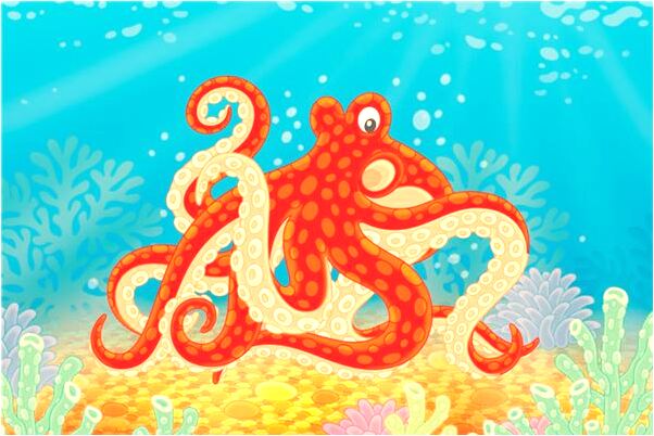 夢到給動物餵食預示著什麼_周公解夢官網