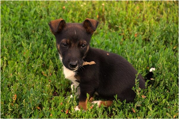 夢見自己雪地騎車摔倒是什麼預兆_周公解夢官網