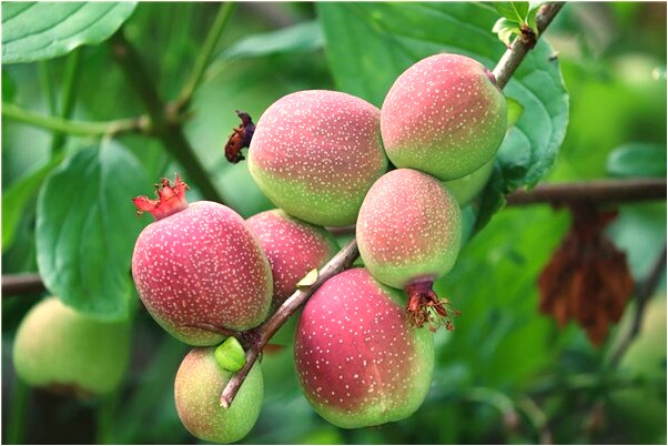 夢到了被大水沖走預兆了什麼嗎_周公解夢官網